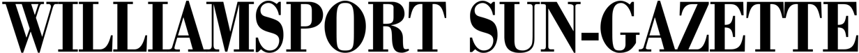 website logo